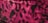  Animal Print Pink 
