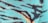 Zebra Blue 