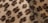 Animal Print