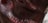 Bordocr