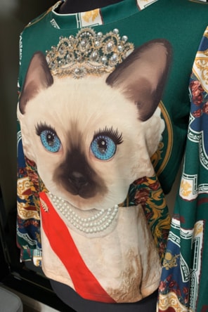 CAMISOLA GATO