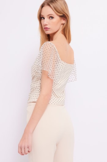 242-411dd44001-2111-p02